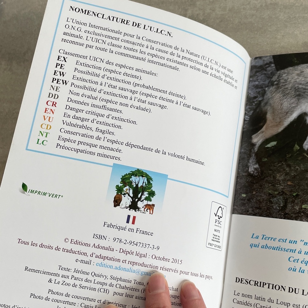 Editions Adonalia Le Loup & Les Félins livret de zoo animaux enfants - Picture 6 of 9